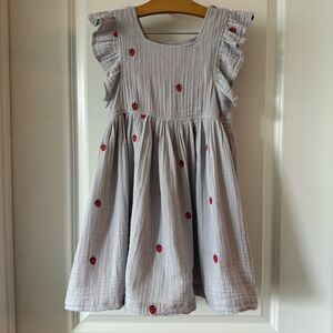 Pink Chicken Girls Elise Strawberry 🍓 Dress